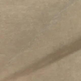 Велюр Teddy 007